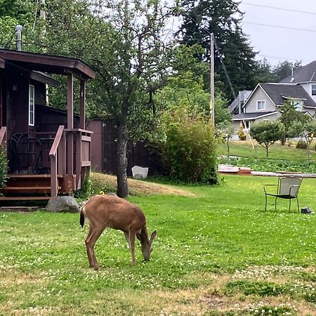 Jones Cabin Friday Harbor Esterno foto