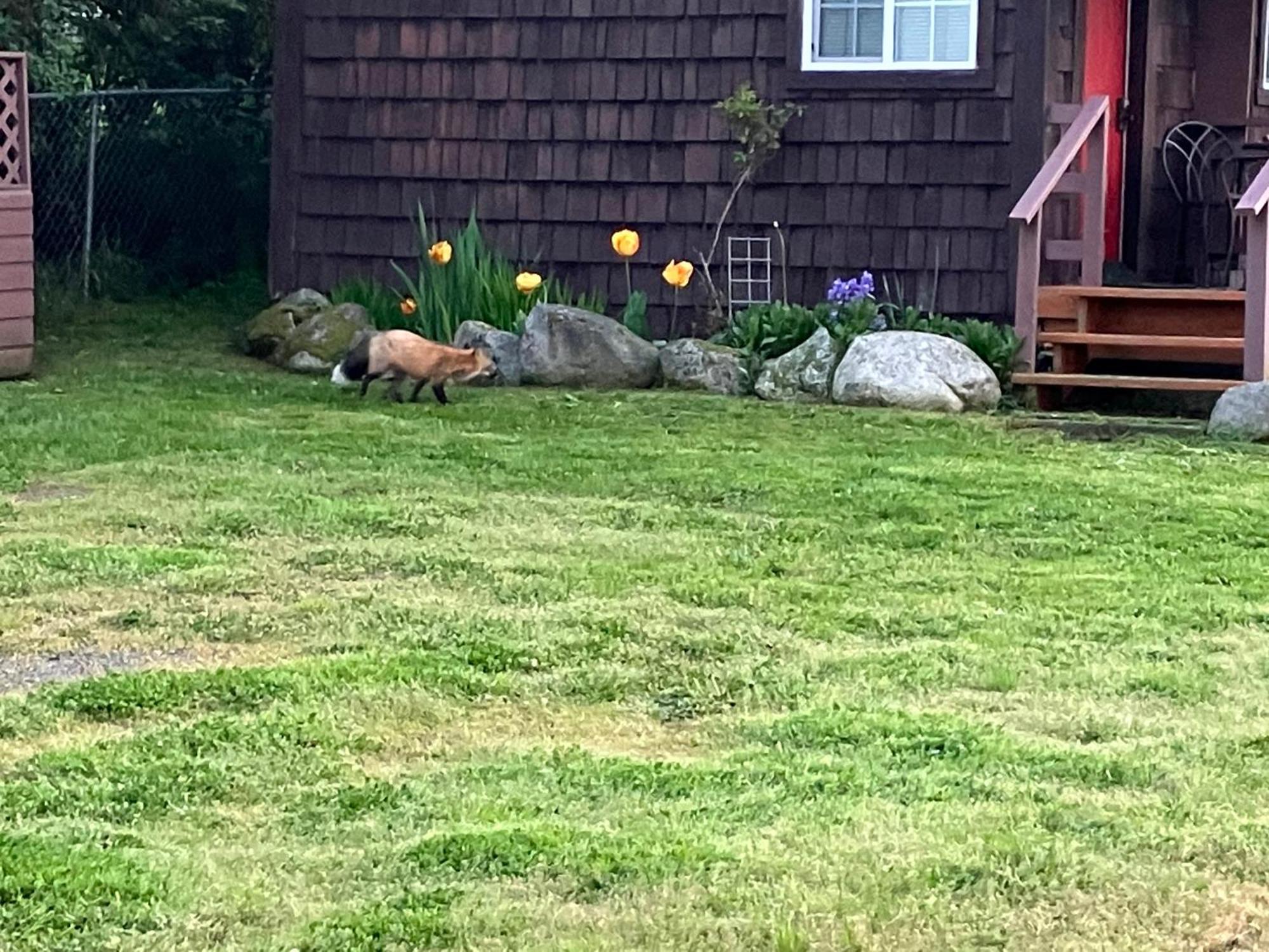 Jones Cabin Friday Harbor Esterno foto